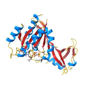CRYSTAL STRUCTURE OF THE ACTIVE RAS PROTEIN COMPLEXED WITH THE RAS-INTERACTING DOMAIN OF RALGDS