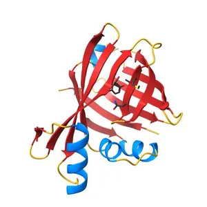1.70A Resolution Structure of NanoBiT Complementation Reporter Complex of LgBit and SmBiT Subunits