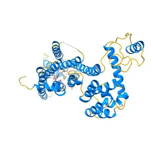 Crystal Structure of a Lipid G protein-Coupled Receptor at 2.80A