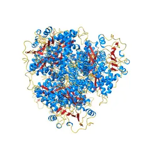 Human glutamate dehydrogenase, H454Y mutant