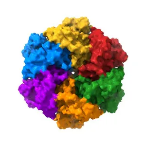 Cryo-EM structure of human p97 bound to ADP