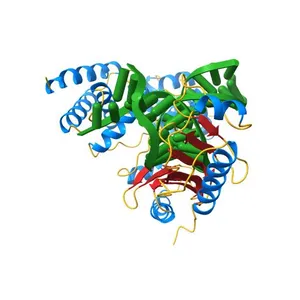 CRYSTAL STRUCTURE OF A HUMAN TBP CORE DOMAIN-HUMAN TFIIB CORE DOMAIN COMPLEX BOUND TO AN EXTENDED, MODIFIED ADENOVIRAL MAJOR LATE PROMOTER (ADMLP)