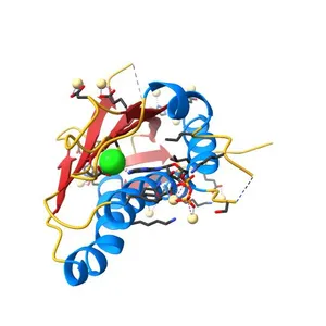 Structure of the catalytic domain of ETR1 from Arabidopsis thaliana