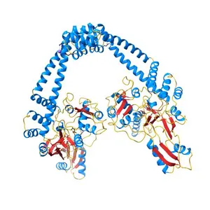 crystal structure of the first part of the Mycobacterium tuberculosis DNA gyrase reaction core: the breakage and reunion domain at 2.7 A resolution