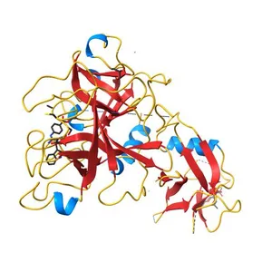 Crystal structure of human TMPRSS2 in complex with Nafamostat