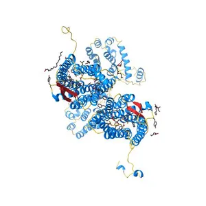 The 2.5 A structure of the CXCR4 chemokine receptor in complex with small molecule antagonist IT1t