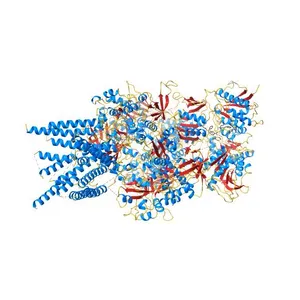 Crystal structure of GluN1/GluN2B NMDA receptor, structure 1