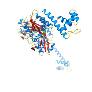 Crystal Structure of full-length BenM