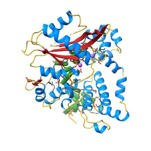 Nicked complex of human DNA Polymerase Mu with 2-nt gapped DNA substrate
