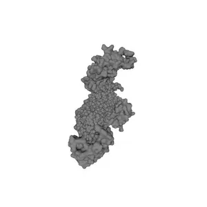 HIV-1 reverse transcriptase with bound RNA-DNA