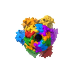 Structure of the F1c10 complex from Yarrowia lipolytica ATP synthase