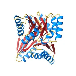 Terbium(III)-bound de novo TIM barrel-ferredoxin fold fusion dimer with 4-glutamate binding site and tryptophan antenna (TFD-EE N6W)