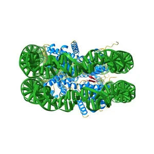 The effect of H3 K79 dimethylation and H4 K20 trimethylation on nucleosome and chromatin structure