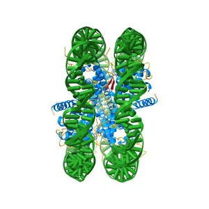 Class 1 : canonical nucleosome