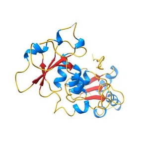 Crystal structure of human BRCA1 BRCT in complex with nonphosphopeptide inhibitor