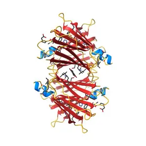 Crystal structure of Transthyretin complexed with pterostilbene