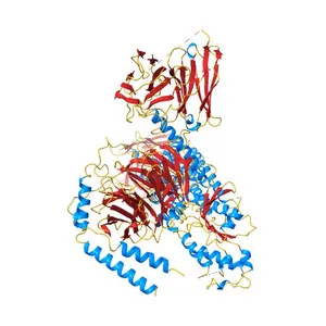 Gi bound Orphan GPR20 complex with Fab046 in ligand-free state