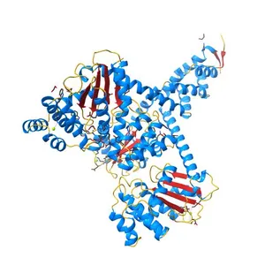 Crystal structure of Salmonella enterica Typhimurium BcfH
