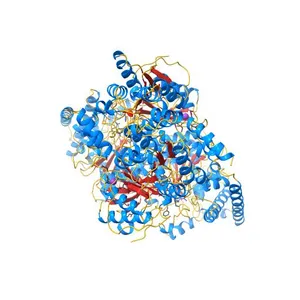 The crystal structure of pyruvate dehydrogenase E1 bound to the peripheral subunit binding domain of E2