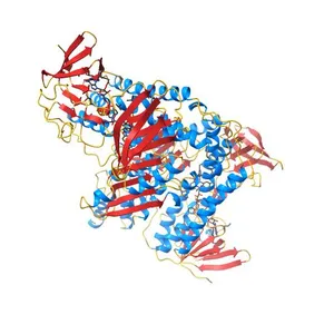 DIHYDROLIPOAMIDE DEHYDROGENASE COMPLEXED WITH THE BINDING DOMAIN OF THE DIHYDROLIPOAMIDE ACETYLASE