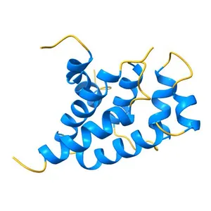 NMR solution structure of the E.coli F-ATPase delta subunit N-terminal domain in complex with alpha subunit N-terminal 22 residues