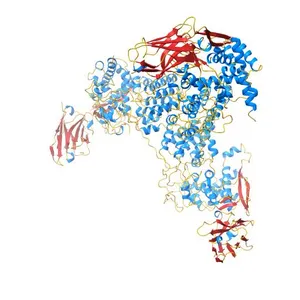 Influenza A virus Nucleoprotein in Complex with Inhibitory Nanobody
