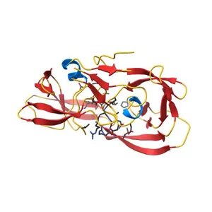 Structure of complex of synthetic HIV-1 protease with a substrate-based inhibitor at 2.3 Angstroms resolution