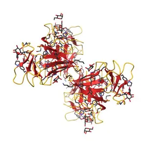 MANNOSE-SPECIFIC AGGLUTININ (LECTIN) FROM SNOWDROP (GALANTHUS NIVALIS) BULBS IN COMPLEX WITH MANNOSE-ALPHA1,6-(MANNOSE-ALPHA1,3)-MANNOSE-ALPHA1,6-(MANNOSE-ALPHA1,3)-MANNOSE