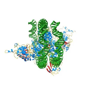 Cryo-EM structure of Dot1L and H2BK34ub-H3K79Nle nucleosome 2:1 complex