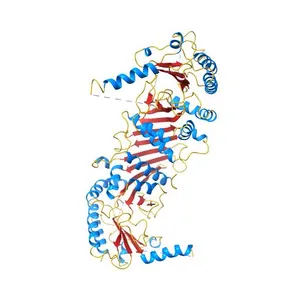 PHOSPHATIDYLINOSITOL PHOSPHATE KINASE TYPE II BETA