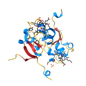 Structure of Human NADH cytochrome b5 oxidoreductase (Ncb5or) b5 Domain to 1.25A Resolution