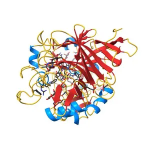 CBH1 (E217Q) IN COMPLEX WITH CELLOHEXAOSE AND CELLOBIOSE