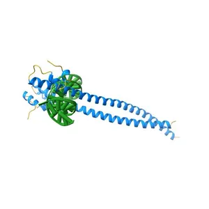 Nrf2-MafG heterodimer bound with CsMBE1