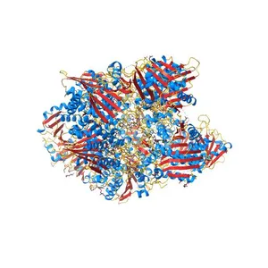 X-ray crystal structure of Pf-M17 in complex with inhibitor (6k) and regulatory zinc ion