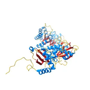 H. neapolitanus carboxysomal rubisco/CsoSCA-peptide (1-50)complex