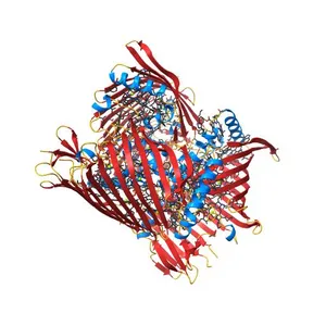 Crystal structure of the Fenna-Matthews-Olson Protein from Chlorobaculum Tepidum