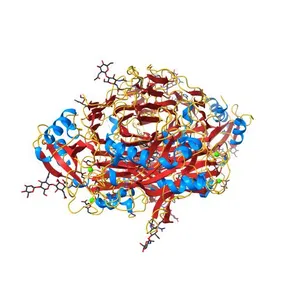 Crystal structure of human diamine oxidase