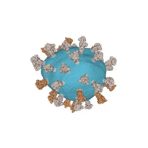 SARS CoV-2 Virion (NIAID)