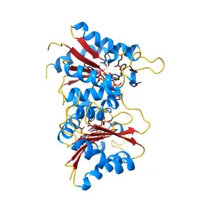 Crystal structure of MilB complexed with cytidine 5'-monophosphate
