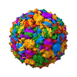 Cryo-EM reconstruction of bacteriophage AP205 virus-like particles.