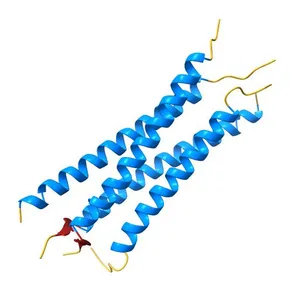 Crystal structure of the human Nup57CCS3* coiled-coil segment, space group P21
