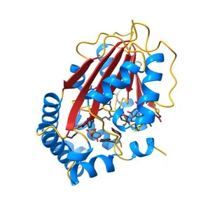 Phosphoethanolamine methyltransferase from Plasmodium falciparum in complex with sinefungin and PO4
