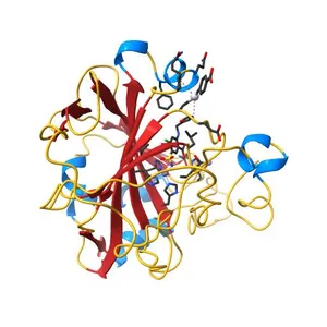 carbonic anhydrase II in complex with furosemide as sulfonamide inhibitor