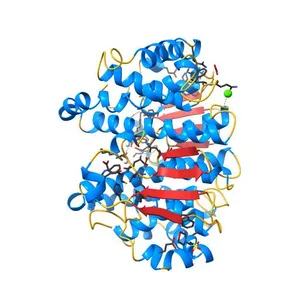 Structure of WT Human Glutathione Transferase in complex with cisplatin in the presence of glutathione.