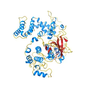 Crystal Structure of G Protein-Coupled Receptor Kinase 5 in Complex with AMP-PNP