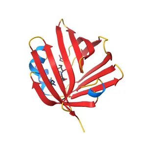 Murine epidermal fatty acid-binding protein (FABP5) in complex with the endocannabinoid anandamide