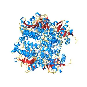 The crystal structure of human enoyl-coenzyme A (CoA) hydratase short chain 1, ECHS1