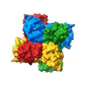 Cryo-EM structure of hSlo1 in total membrane vesicles