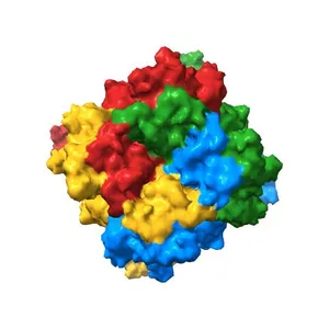 The closed C1-state mouse TRPM8 structure in complex with PI(4,5)P2