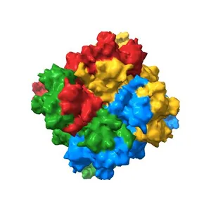 The intermediate C2-state mouse TRPM8 structure in complex with the cooling agonist C3 and PI(4,5)P2